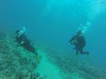 Hawaii Scuba divng 70