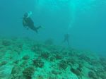 Hawaii Scuba divng 73