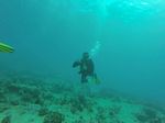 Hawaii Scuba divng 75