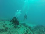 Hawaii Scuba divng 77