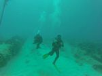 Hawaii Scuba divng 79