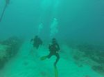 Hawaii Scuba divng 80