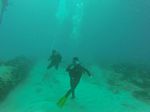 Hawaii Scuba divng 81