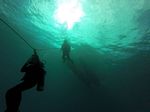 Hawaii Scuba divng 88