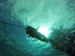 Hawaii Scuba divng 90