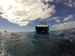 Hawaii Scuba divng 92