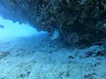 Honolulu Scuba 18