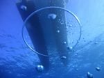 Honolulu Scuba 01