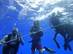 Hawaii Scuba divng 10