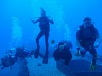 Hawaii Scuba divng 20