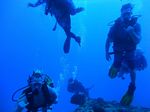 Hawaii Scuba divng 21