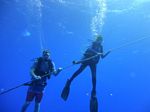 Hawaii Scuba divng 29