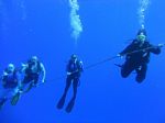 Hawaii Scuba divng 30