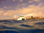 Hawaii Scuba divng 32