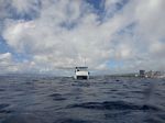 Hawaii Scuba divng 03