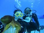 Hawaii Scuba divng 48