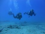 Hawaii Scuba divng 53