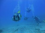 Hawaii Scuba divng 63