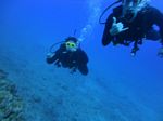 Hawaii Scuba divng 64