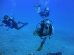 Hawaii Scuba divng 65