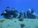 Hawaii Scuba divng 67