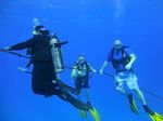 Hawaii Scuba divng 68