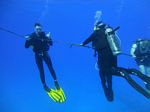 Hawaii Scuba divng 69