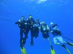 Hawaii Scuba divng 70