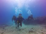 Hawaii Scuba divng 10