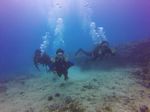 Hawaii Scuba divng 11