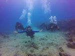 Hawaii Scuba divng 12