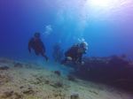 Hawaii Scuba divng 14