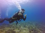 Hawaii Scuba divng 16