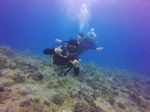 Hawaii Scuba divng 17