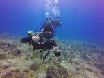 Hawaii Scuba divng 18