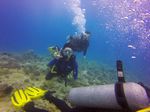 Hawaii Scuba divng 19