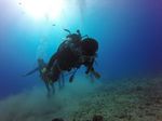 Hawaii Scuba divng 01