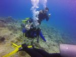 Hawaii Scuba divng 20