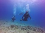 Hawaii Scuba divng 23