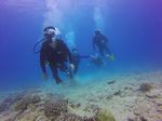 Hawaii Scuba divng 25