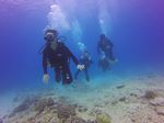 Hawaii Scuba divng 26