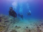 Hawaii Scuba divng 27