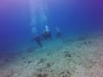 Hawaii Scuba divng 29