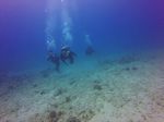 Hawaii Scuba divng 30