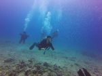 Hawaii Scuba divng 31