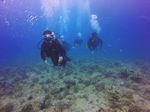 Hawaii Scuba divng 32