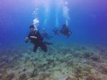 Hawaii Scuba divng 33