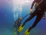 Hawaii Scuba divng 36