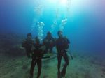 Hawaii Scuba divng 39