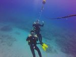 Hawaii Scuba divng 03